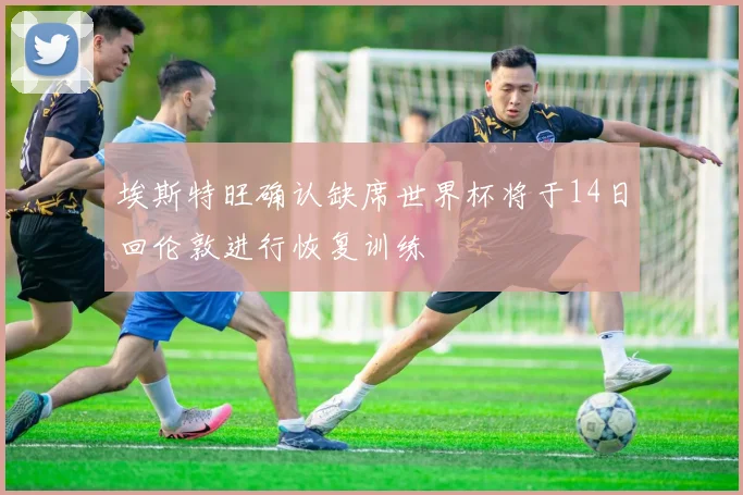埃斯特旺确认缺席世界杯将于14日回伦敦进行恢复训练