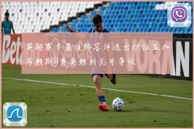 英超赛季最佳阵容评选出炉拉亚加布赖斯B费奥赖利无可争议